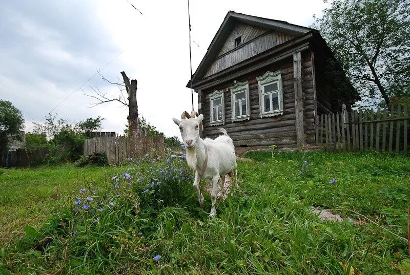 Что известно о деревне