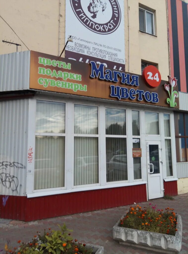 Магия цветов, краснодар. Магия цветов нижнекамск. Магия цветов нижнекамск гагарина. Цветочная лавка логотип. Красивые названия цветочных магазинов.