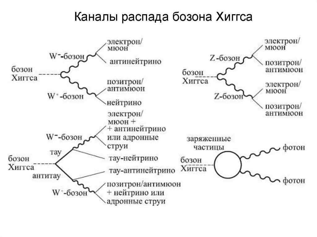 Бозон (элементарная частица). Бозон Хиггса схема. Стандартная модель элементарных частиц Бозон Хиггса. Каналы распада бозона Хиггса.