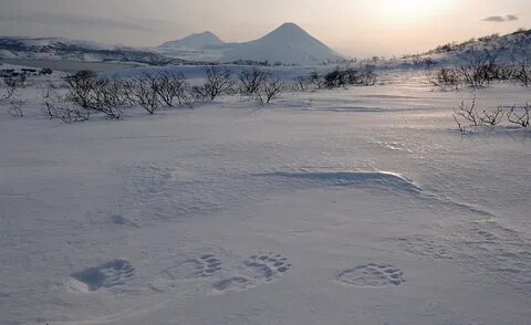 Наст й