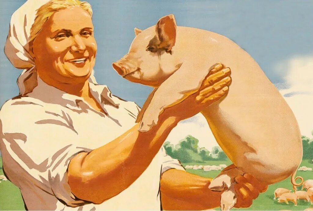 Картинки плакаты про. Ссср, плакат, колхоз, совхоз, сельское. советские постеры. советские плакаты про сельское хозяйство. советские плакаты о животноводстве.