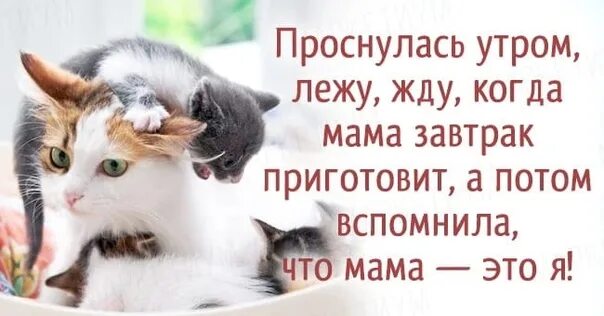 Проснувшись утром мне приготовили завтрак какая ошибка. Проснулась лежу жду когда мама. проснулась и жду когда мама завтрак приготовит. проснулась лежу жду когда мама завтрак приготовит. а потом вспомнила что мама это я.