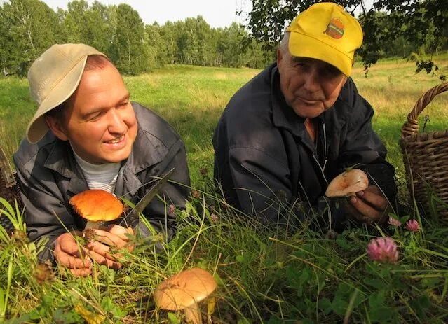 Сбор грибов. Грибники в лесу. Заготовка грибов. Яркие костюмы для похода за грибами. Два грибника.