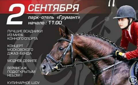 Конный мир программа