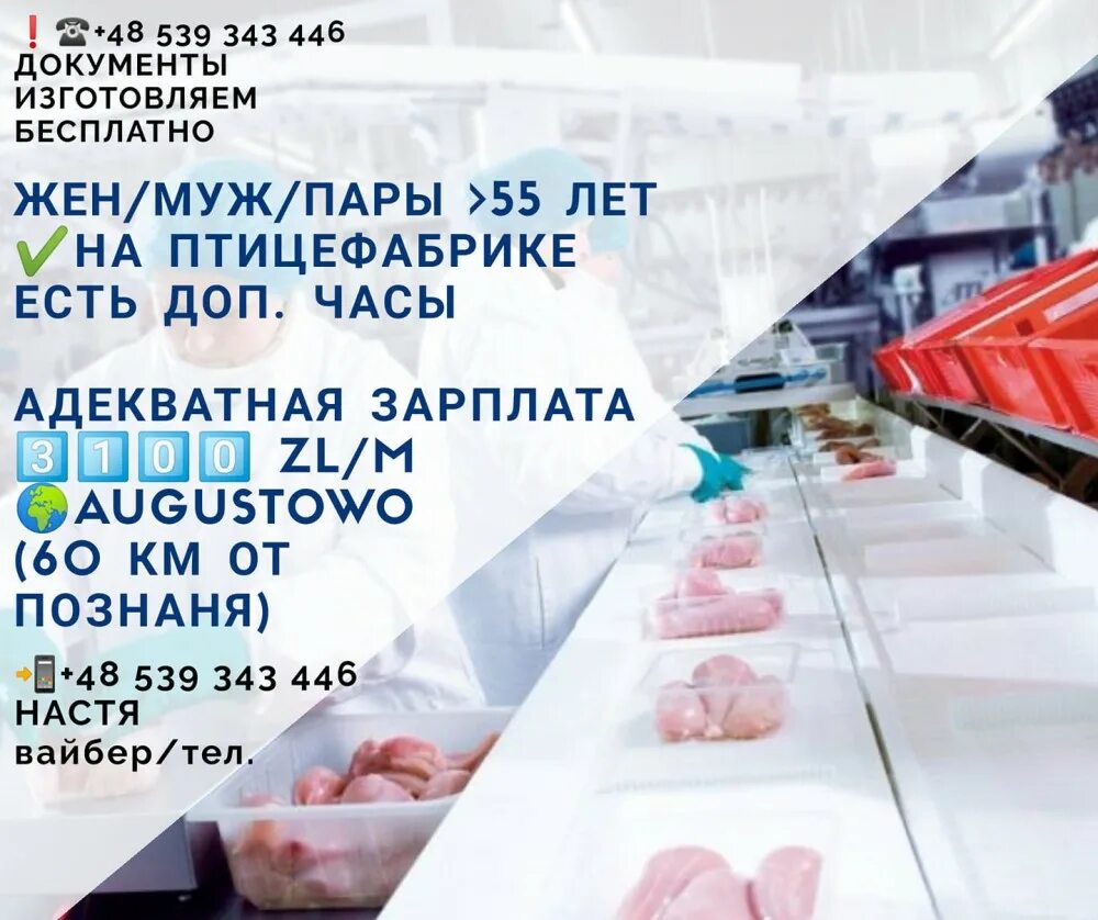 лиско бройлер убойный цех. птицефабрика невинномысск вакансии. чернобаевская птицефабрика уничтожена. упаковщик птицефабрика. цех птицефабрики.