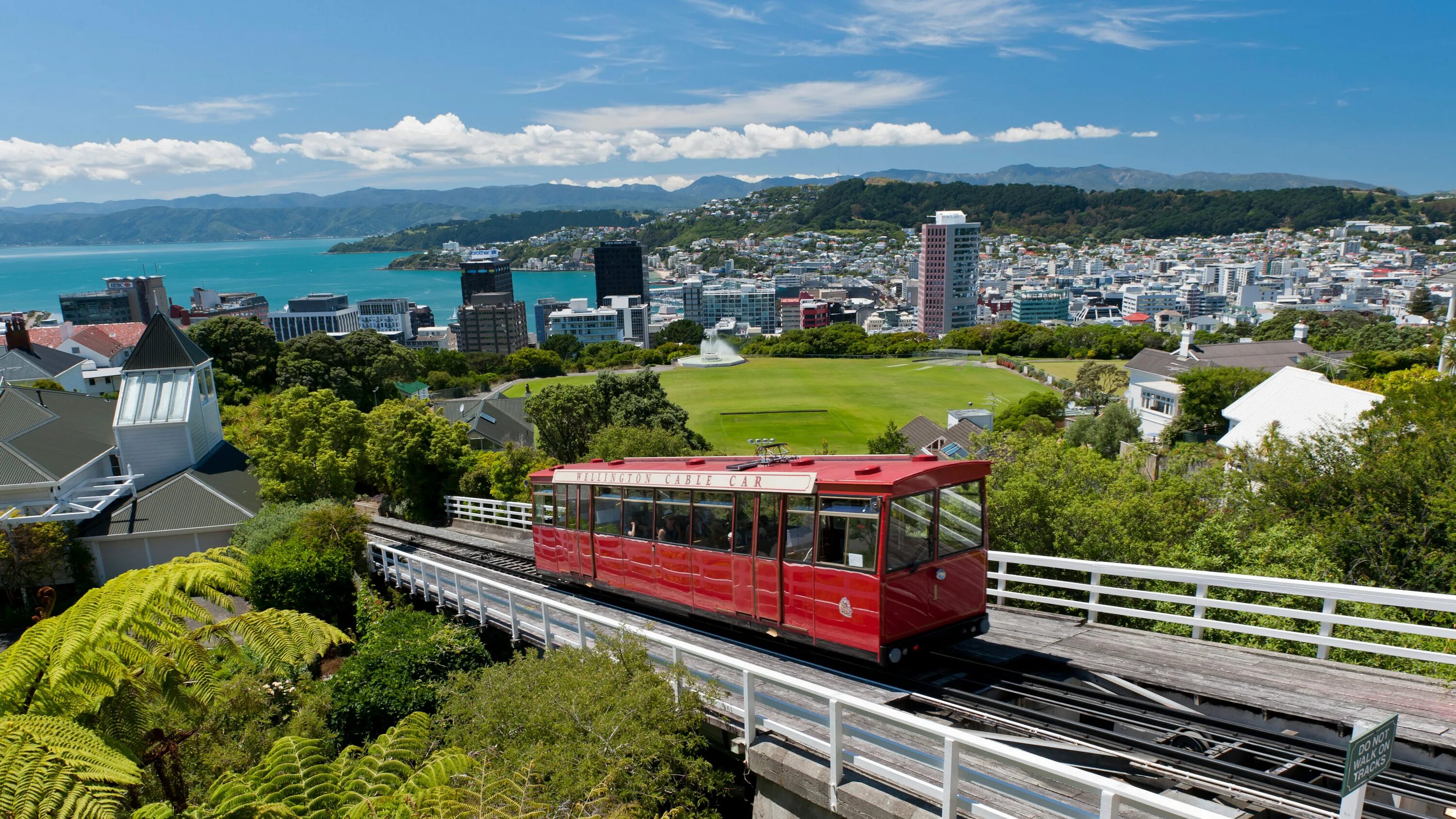 Wellington new zealand. Новая Зеландия столица Веллингтон. Веллингтон новая Зеландия достопримечательности. Веллингтон ЮАР. Парк Зеландия Веллингтон.