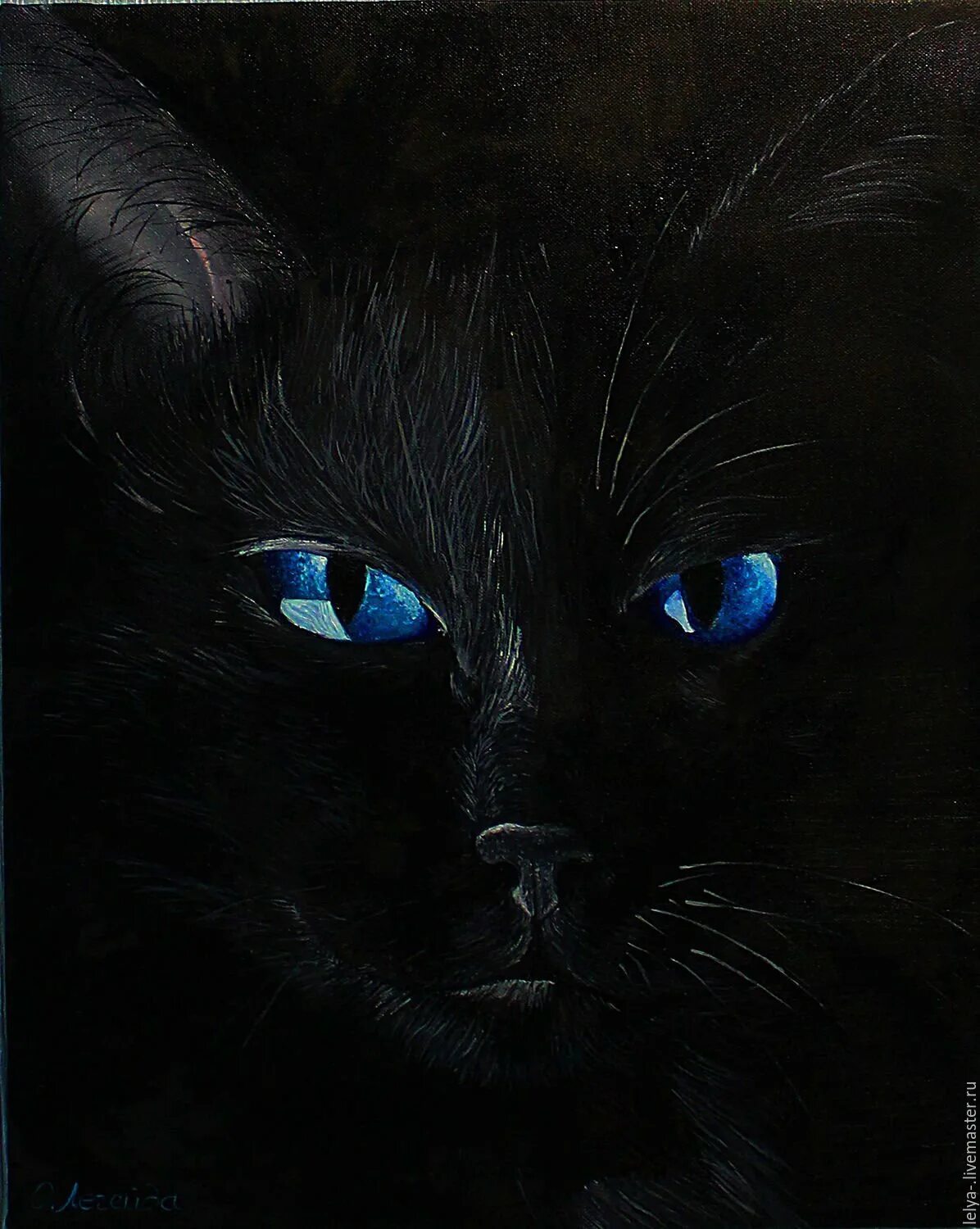 Черный кот с голубыми глазами. Чёрная кошка с голубыми глазами. Чёрный кот с синими глазами. Чёрные коты с голубыми глазами. Черная глазая