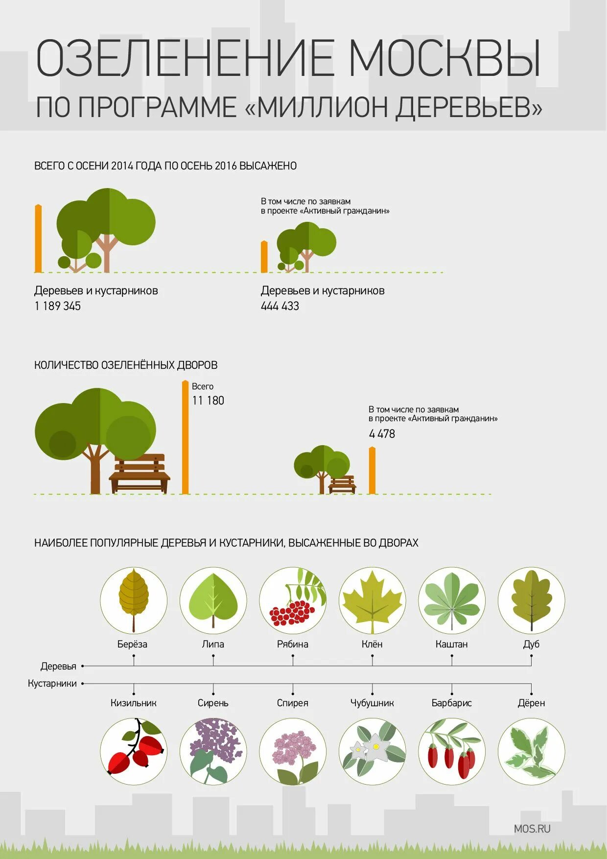 Сколько деревьев в москве. Миллион деревьев. Миллион деревьев программа Москва. Инфографика Озеленение. Программа озеленения Москвы.