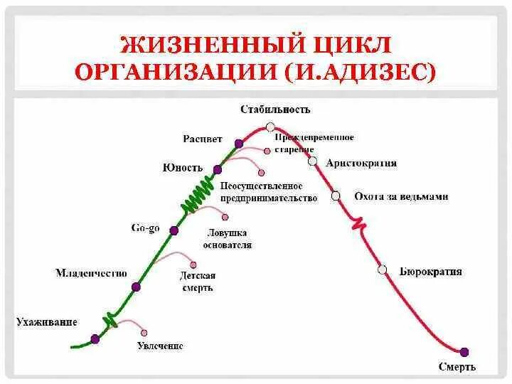 Жизненный цикл культуры. Жизненный цикл организации Адизеса. Адизес этапы жизненного цикла организации. Жизненный цикл компании Грейнер. Жизненный цикл организации по л. Грейнеру.