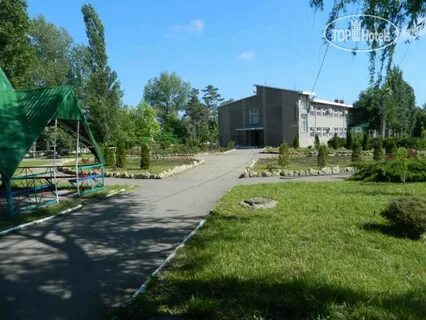 Дорожник анапа