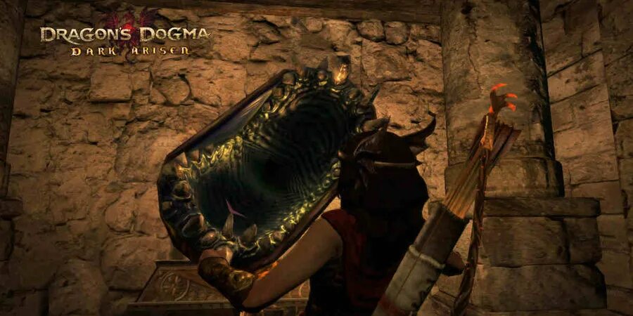 Dragons dogma донат. Dragon's Dogma щиты. Алые клыки Dragon's Dogma. Dragon's Dogma Кровавый стебель.