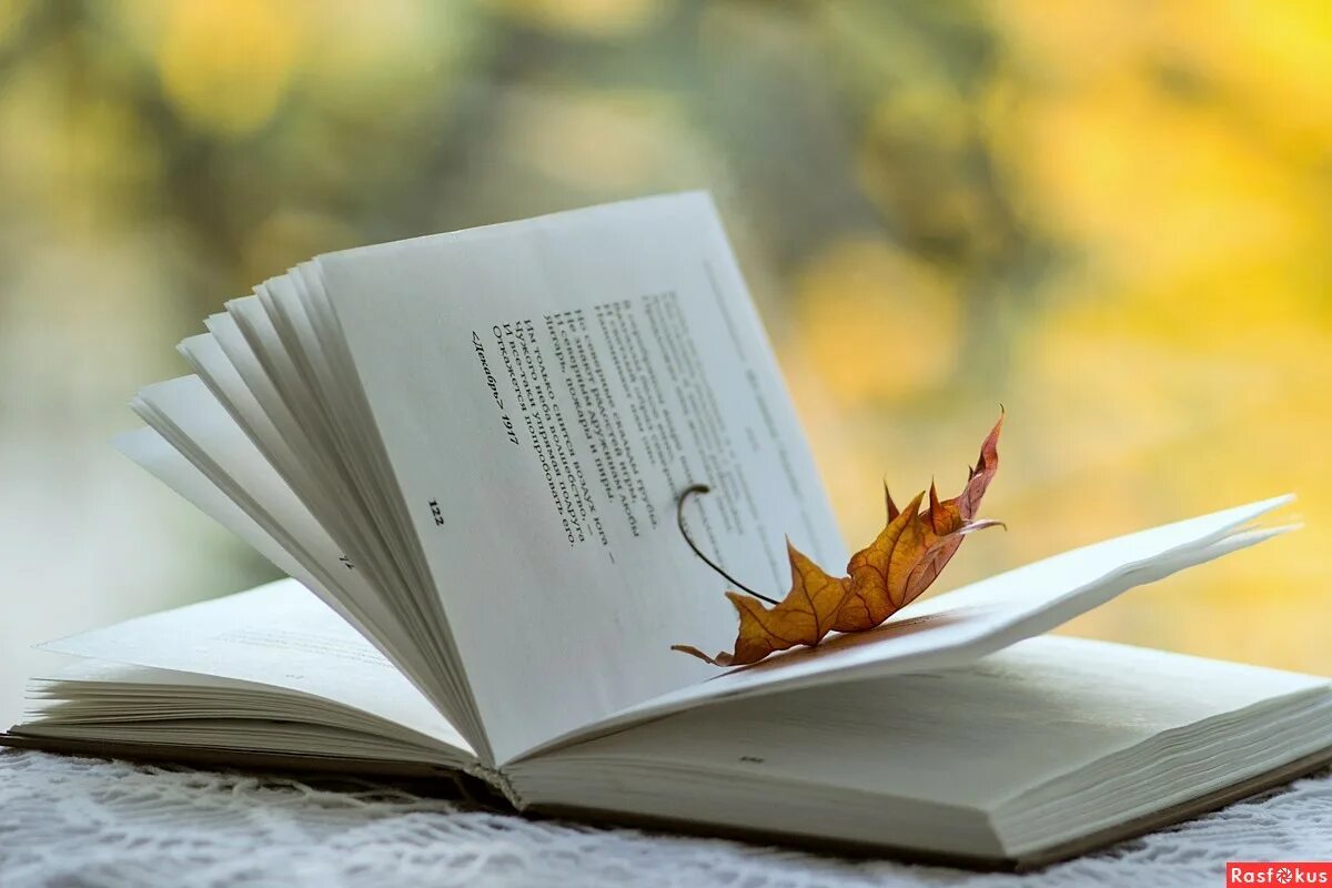 Долгими осенними вечерами мы читали. Книжки про осень. Осеннее чтение. Осень чтение книг. Осенняя поэзия.