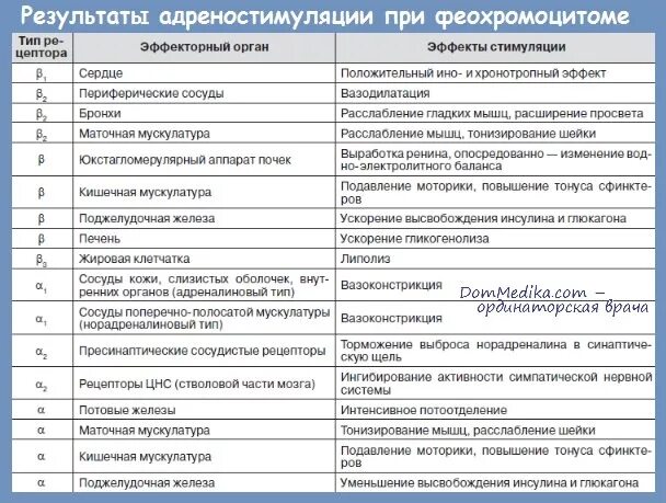 Метанефрины
