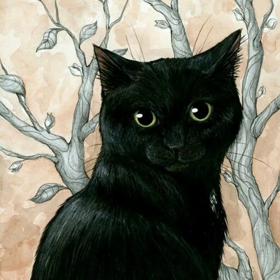 Рисунки без черного. Чёрная кошка норисованая. Нарисовать черную кошку. Нарисованная черная ошка. Нарисованный черный кот.
