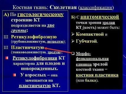 Какие признаки характерны для данного костной ткани