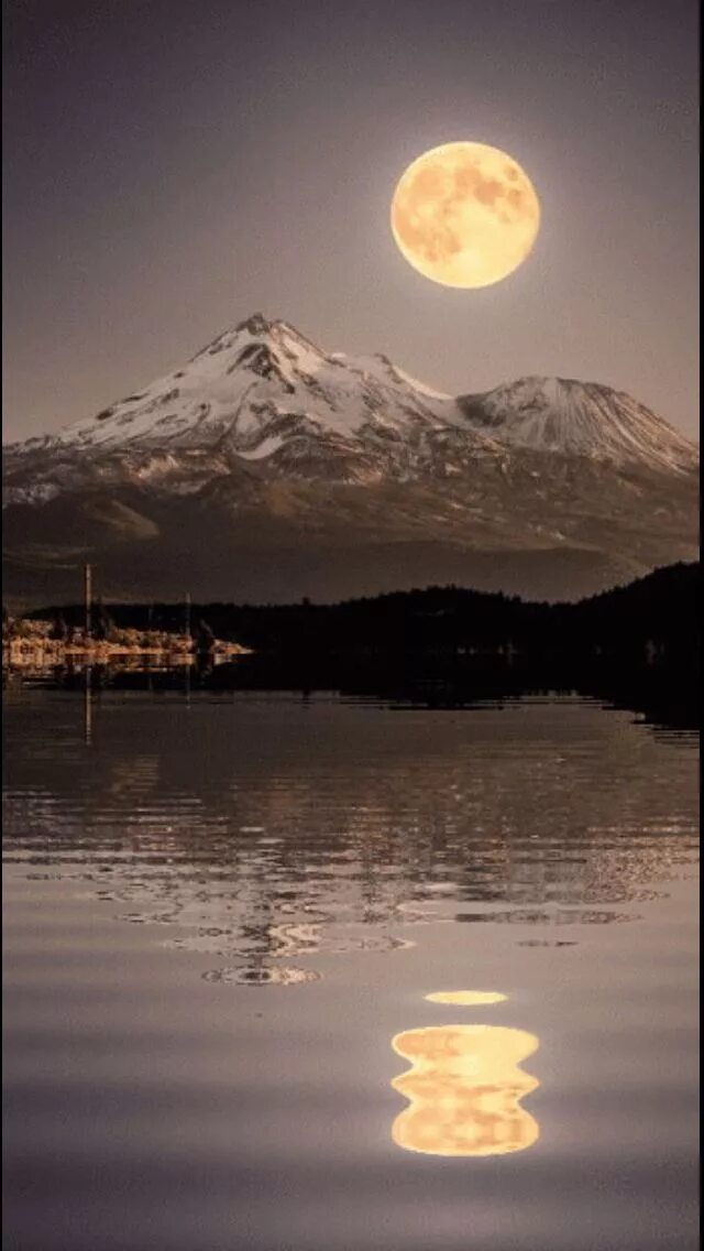 Природа Луны. Полнолуние. Отражение Луны. Красивая ночь. Луна живая природа
