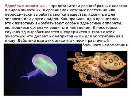 К ядовитым животным относится