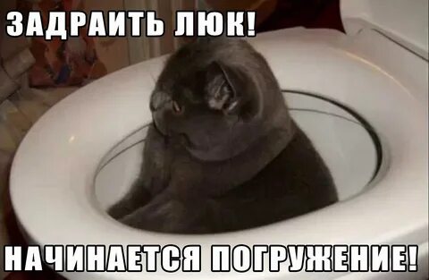 Смешные картинки до слез для поднятия