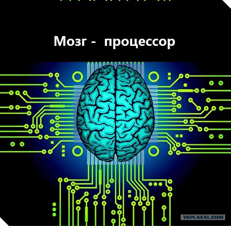 Мозг компьютера. Процессор мозг компьютера. Электронный мозг. Мозг против процессора.