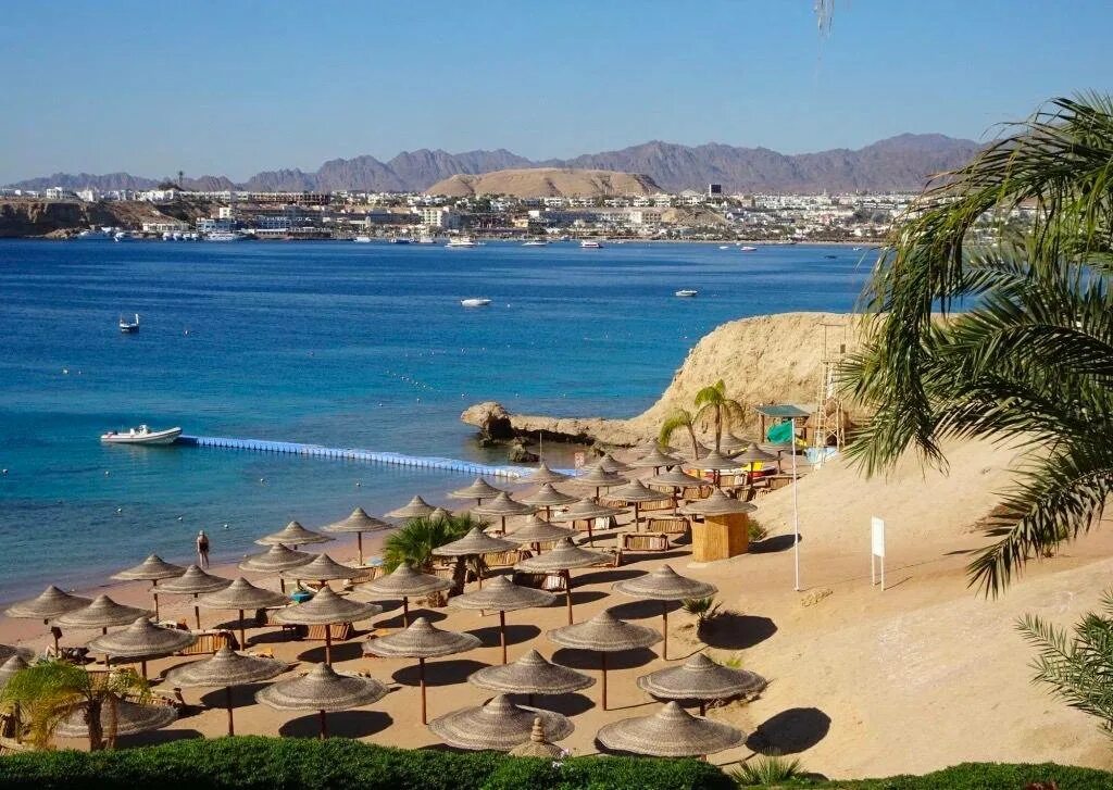 Египет шарм эль шейх фрукты. Movenpick Sharm el Sheikh. Шарм Эль Шейх частный катер. Ресторан в скале Шарм-Эль-Шейх.