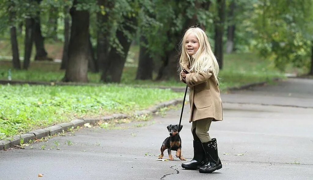 Собака вышла погулять. Девочка гуляет. Девочка с собакой в парке. Гулять с собакой. Фотосессия прогулка с собакой.