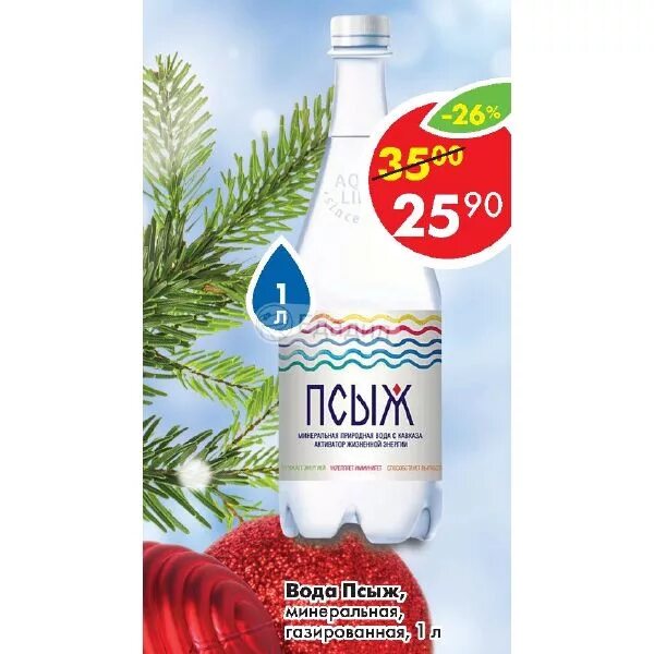 вода минеральная псыж 0,45л пэт. вода минеральная лечебно-столовая псыж. газированная вода псыж. псыж перевод на русский. вода псыж минеральная лечебно-столовая газированная 1л.