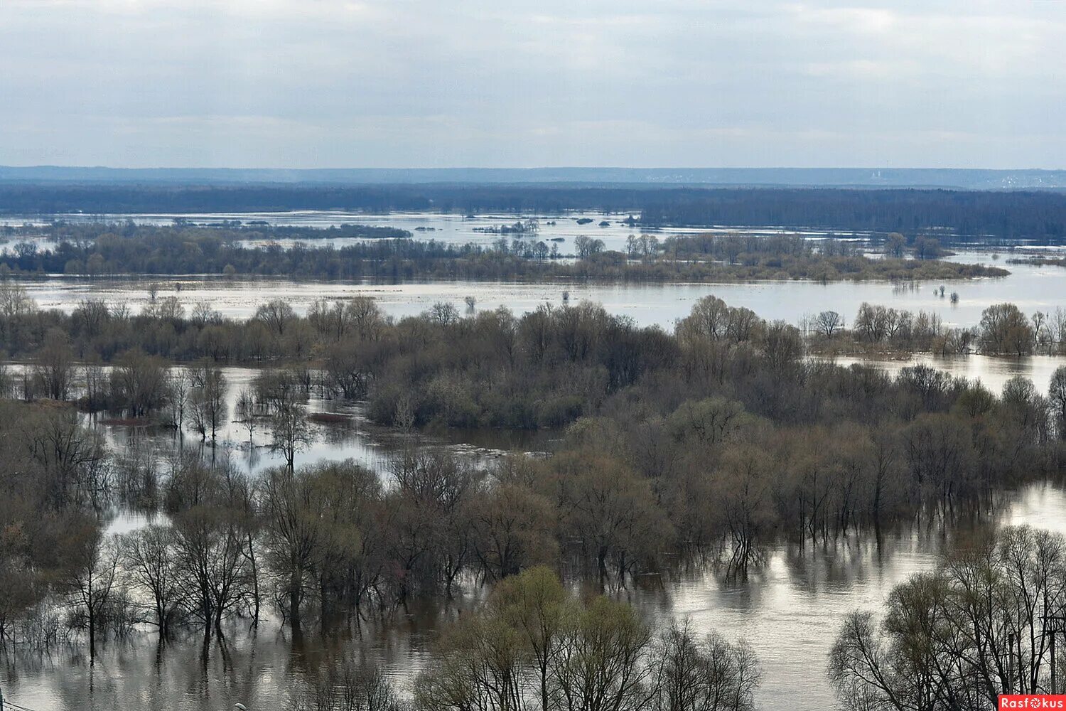 Подъем воды в клязьме. Разлив реки Клязьма Дубрава 3. Половодье, разлив реки. Разлив речушки. Река Клязьма во Владимирской области.