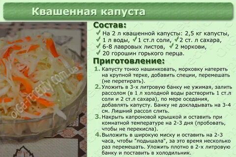 Сколько надо моркови для засолки капусты