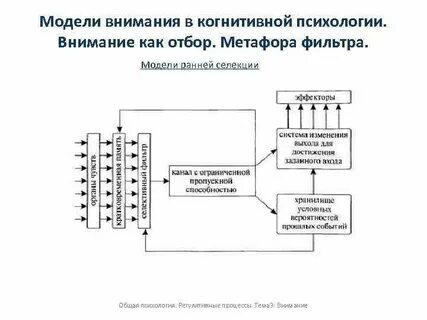 Модель внимания бродбента