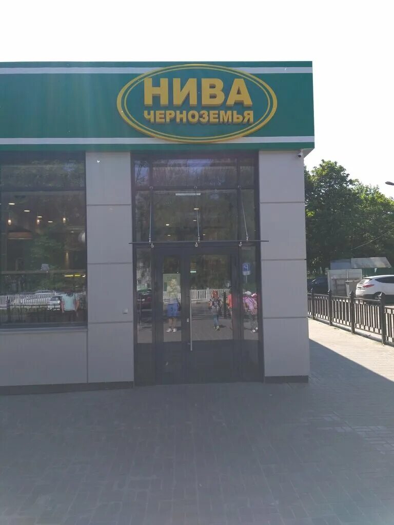 нива черноземья курск. нива черноземья курск магазины. эстерхази нива черноземья. нива кондитерский магазин. магазин нива курск торты адреса.