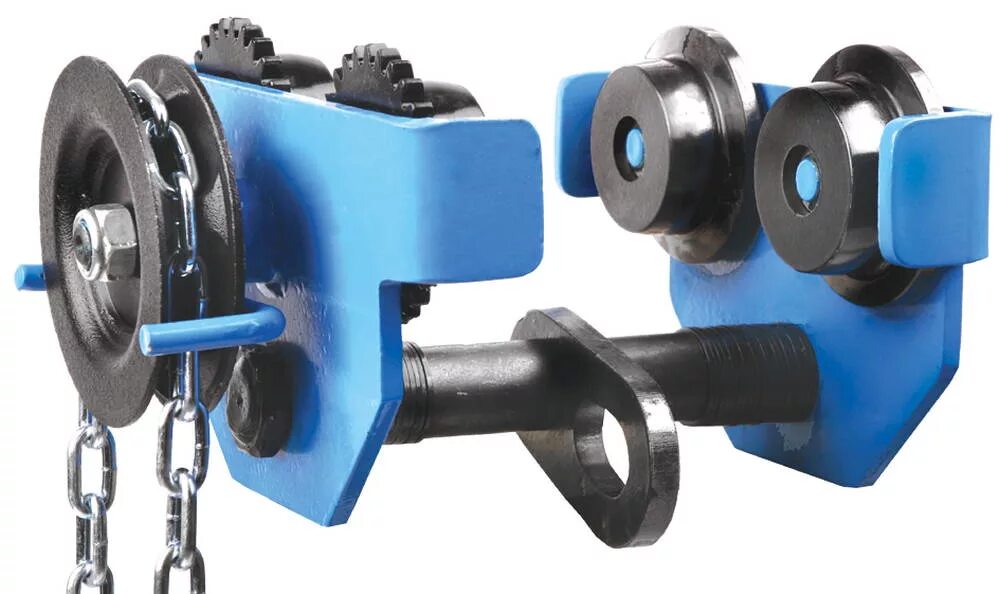 Зубр т. Бизон красивый. Белый зубр. Зубр т. Зубр т.