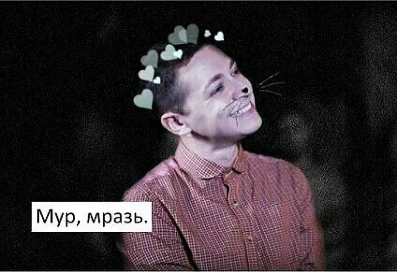 Убийство лизы киселевой саратов михаил туватин. Я тебя на органы сдам. Это отвратительно мем. Мгхазь мем. Путинские выродки.