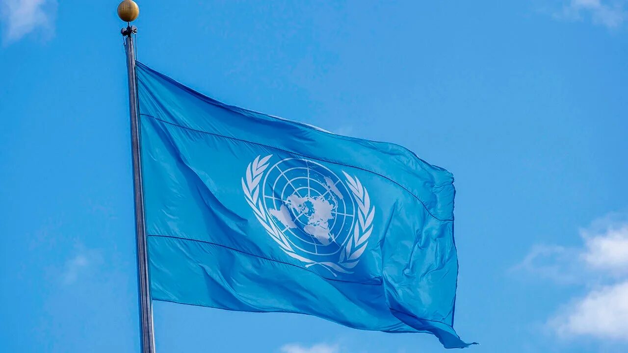 Утверждение оон. Флаг ООН. Флаг ООН фото. Флаг нации беженцев. Футболка Миротворец ООН.