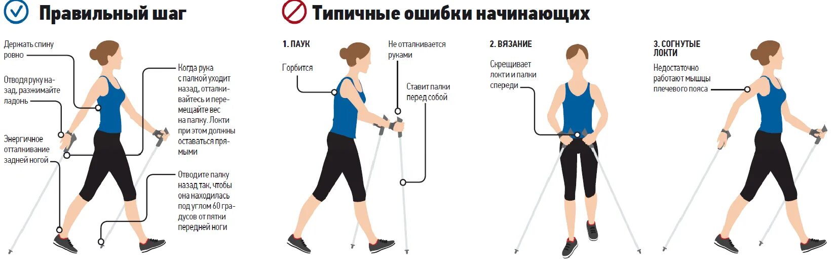 Методика скандинавской ходьбы для начинающих. Ошибки при скандинавской ходьбе с палками. Техника скандинавской ходьбы для начинающих с палками. Мышцы при скандинавской ходьбе. 1 5 часа шага