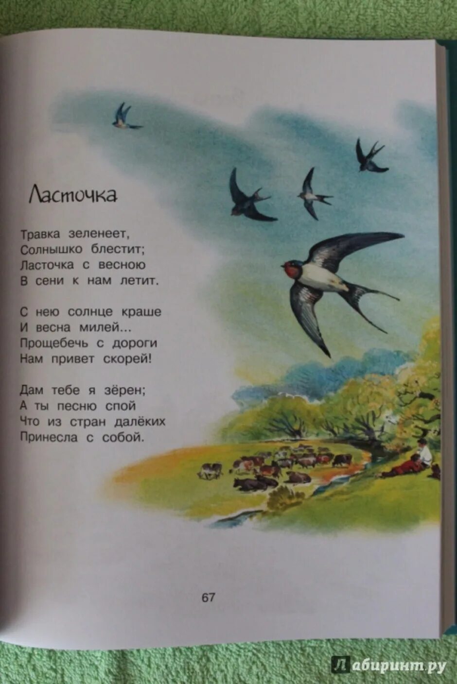 Текст травка зеленеет солнышко блестит. Стих про ласточку. Ласточка стихотворение. Стих Пушкина Ласточка. Стишки про ласточку.