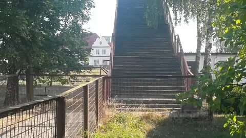 Погода в новоельне