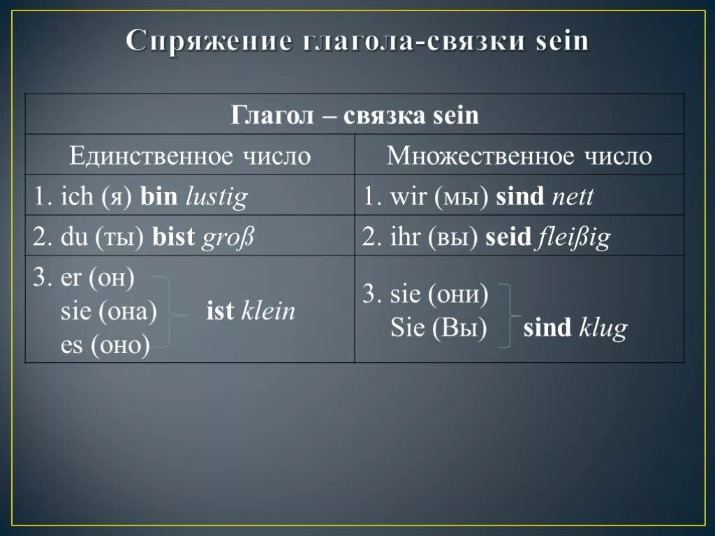 Формы глагола sein в немецком языке таблица. Глагол sein в немецком языке таблица. Глагол sein в немецком языке 5 класс. Спряжение глагола Зайн.