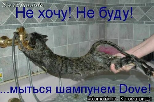 мыться или не мыться. что делать если не хочешь мыться. не хочу мыться. мальчик не хочет мыться. хочу мыться.