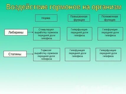 Влияние гормонов на уровень