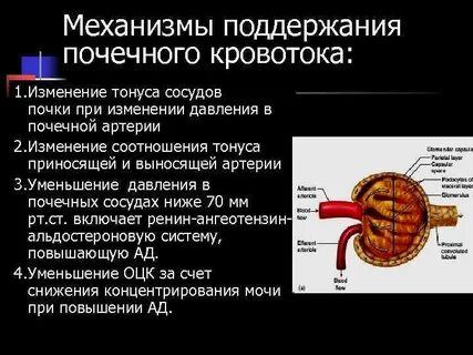 Рт сосудов