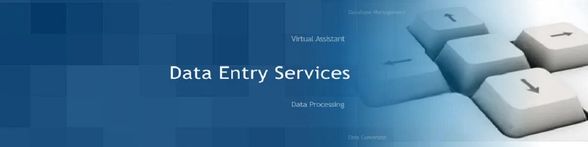 Enter the data. Data entry. outsource data entry services. data entry images. virtual assistant.