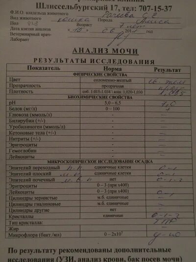 Анализ мочи норма у мужчин после 60. Общий анализ мочи показатели нормы у детей. Общий анализ мочи у новорожденных норма. Общий анализ мочи 11 лет норма. Анализ мочи грудничка расшифровка.