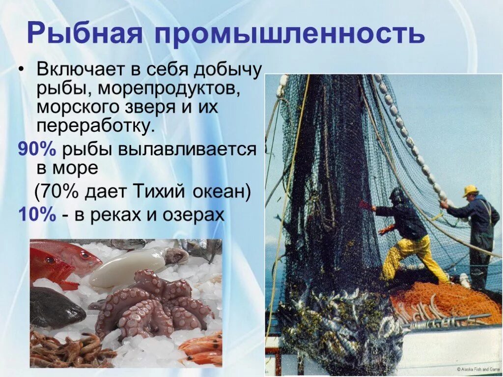 Рыбная промышленность является отраслью специализации. Отрасли рыбной промышленности. Доклад на тему Рыбная промышленность. Рыбная промышленность России презентация. Рыболовство презентация.