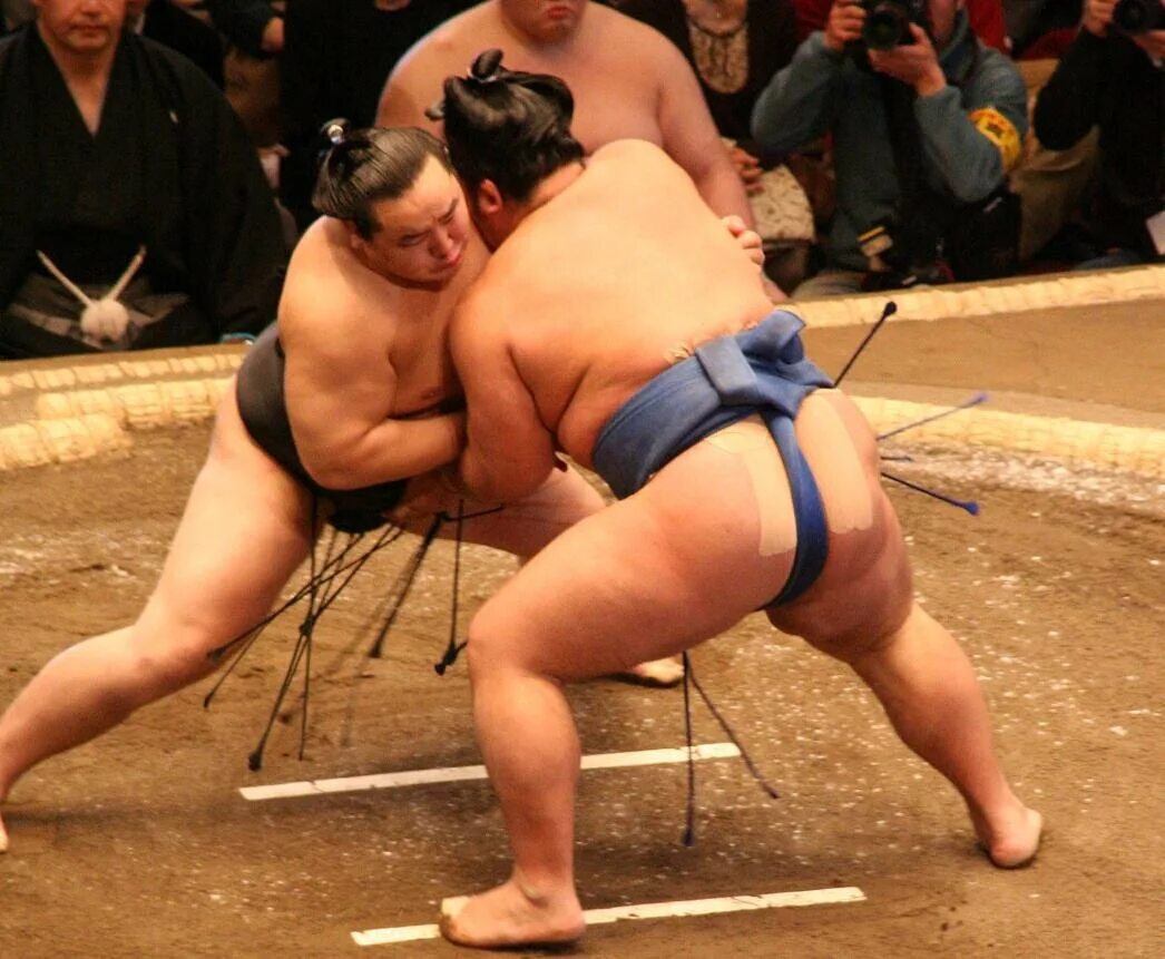 Маваси. Асасерю сумо. Сумо боевые искусства Японии.