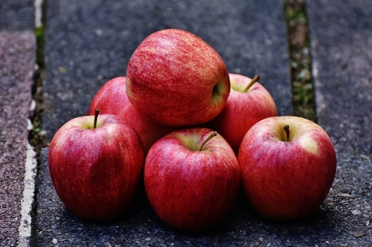 Яблоко картинка. Яблоки. Яблоки красные. Вкусное яблоко. Яблоко фото.