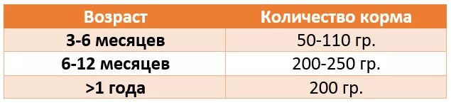 Сколько надо кормить котенка. Сколько давай корма котенку в 1,5 месяца. Сколько раз кормить котенка. Сколько нужно корма котенку в 5 месяцев. Норма кормления котенка 6 месяцев.