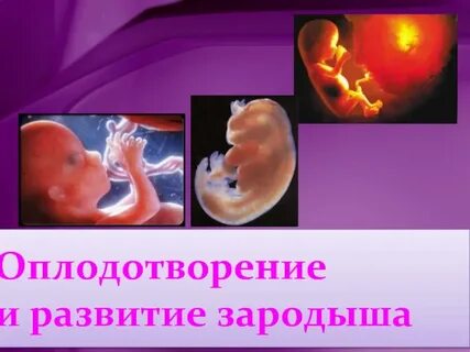 Развитие без оплодотворения