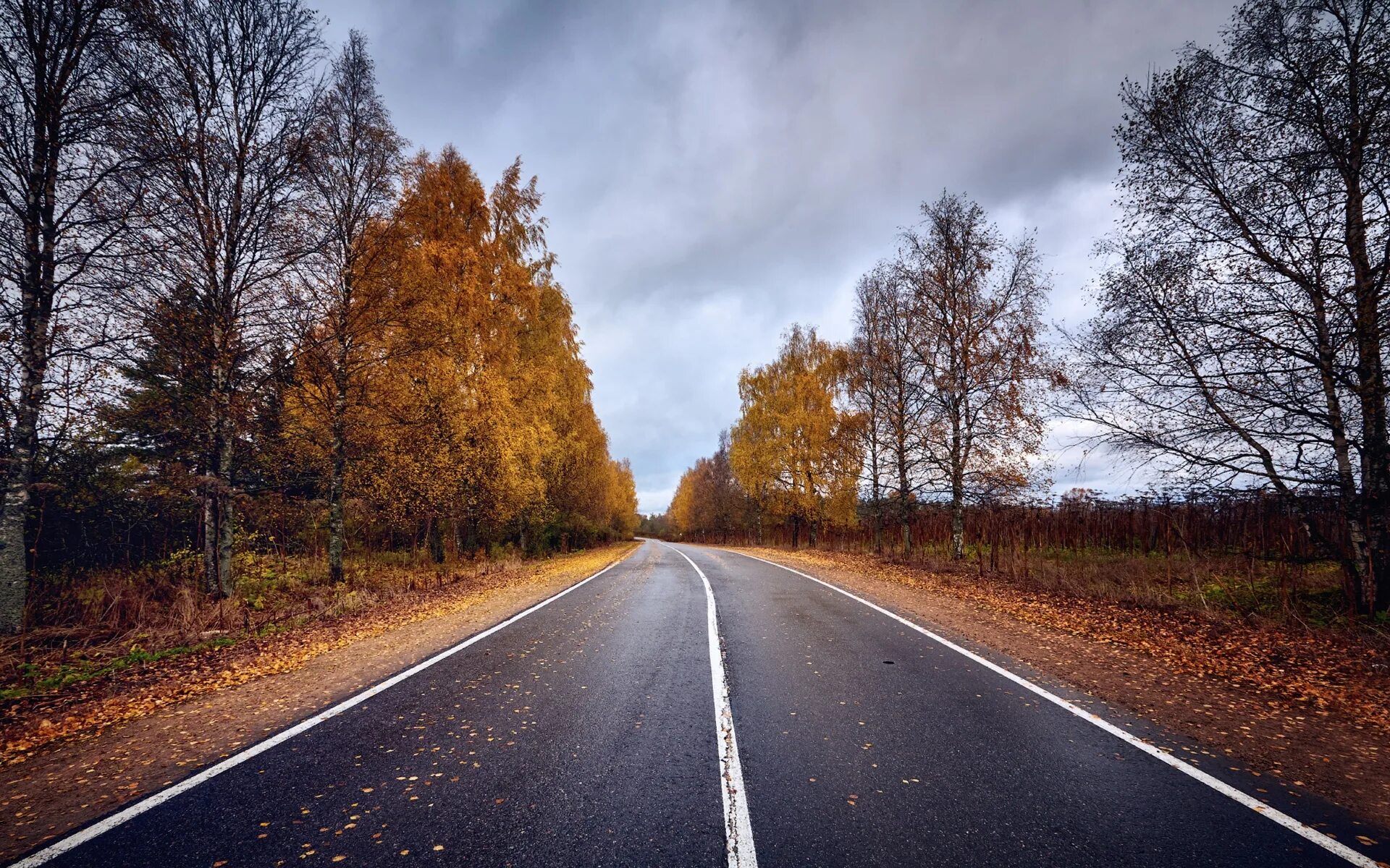 М5 асфальт осень. Осенняя дорога. Дорога в осень. Дорога в лесу. Трасса осенью.