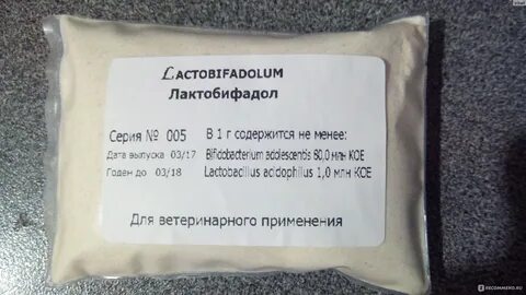 Пробиотик лактобифадол