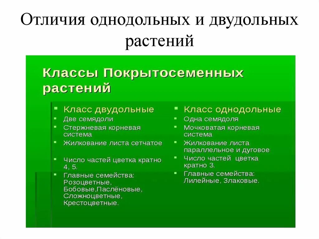 Как отличить однодольные. Отличие однодольных от двудольных растений. Класс Однодольные двудольные различия. Основные различия класса двудольные и Однодольные. Различия однодольных и двудольных растений.